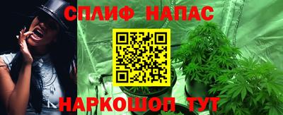таблы Новозыбков