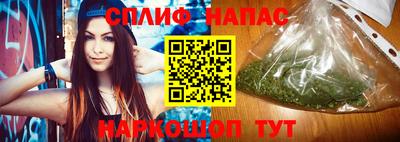 тгк Новокубанск