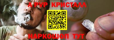 таблы Новозыбков