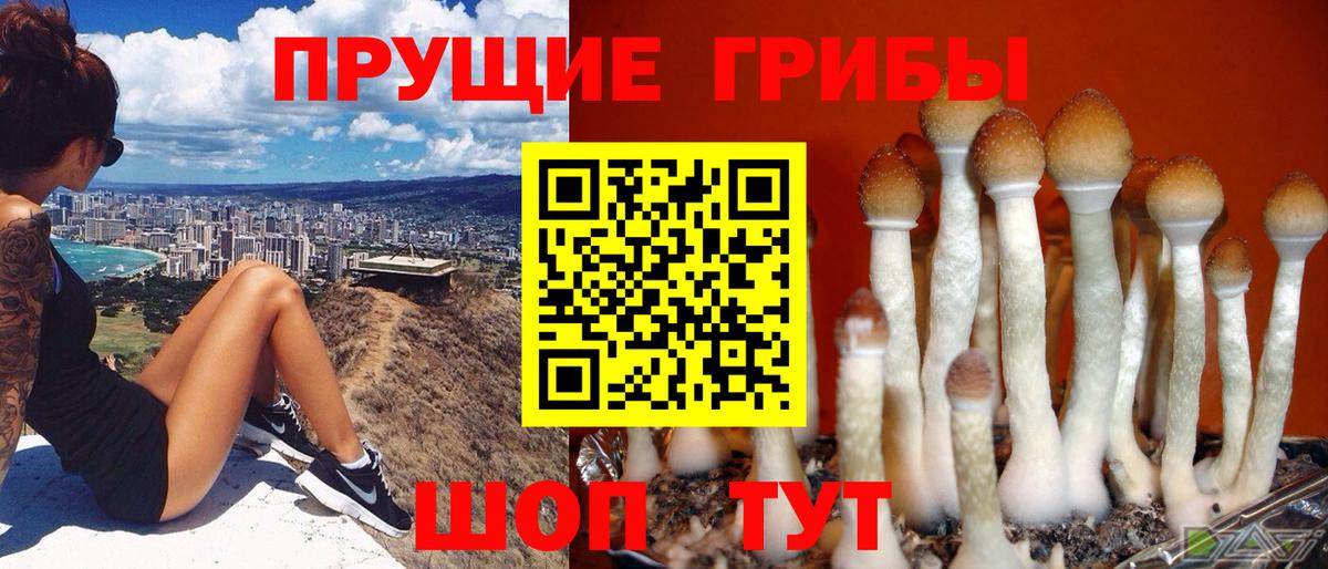 Чайковский  Галлюциногенные грибы Magic Shrooms  наркошоп  Вход с VPN 